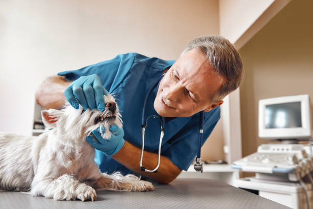 Best Emergency Wisdom Teeth Removal in Genoa, IL